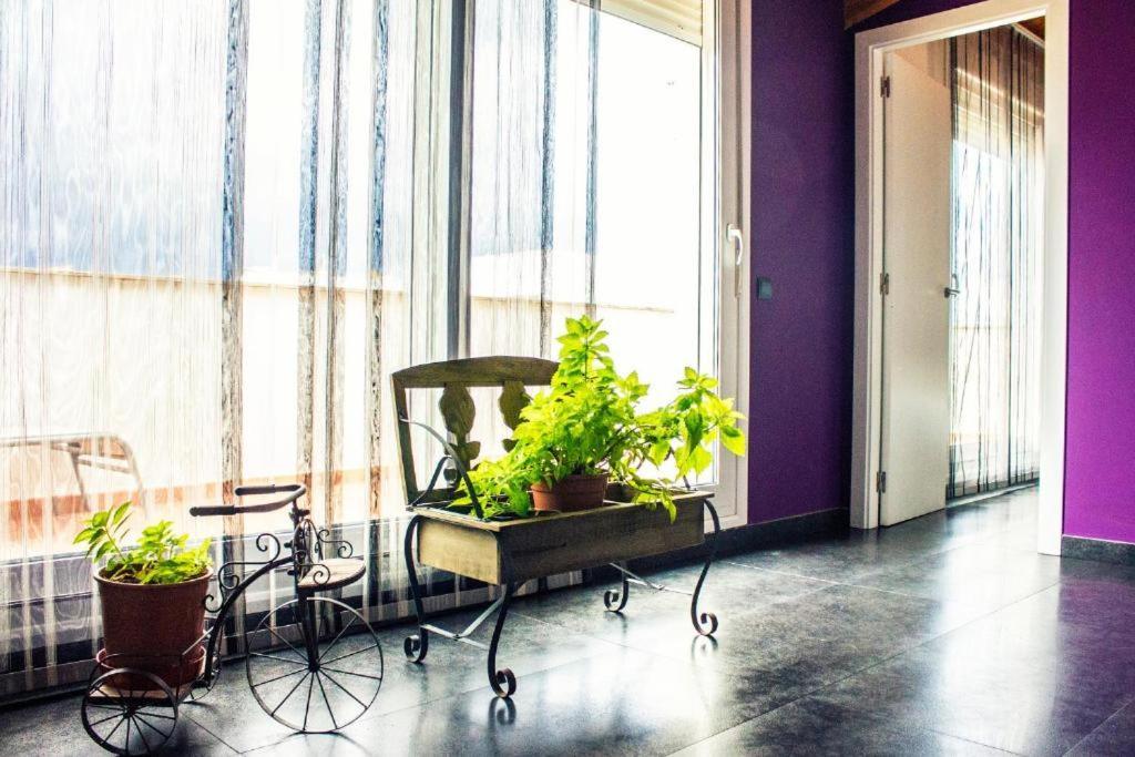 Apartamento Con Estilo Y Acogedor Sant Mateu Dış mekan fotoğraf